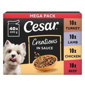 CESAR Dog Pouches Creations in Sauce 40x100g | UK Seller product pack
