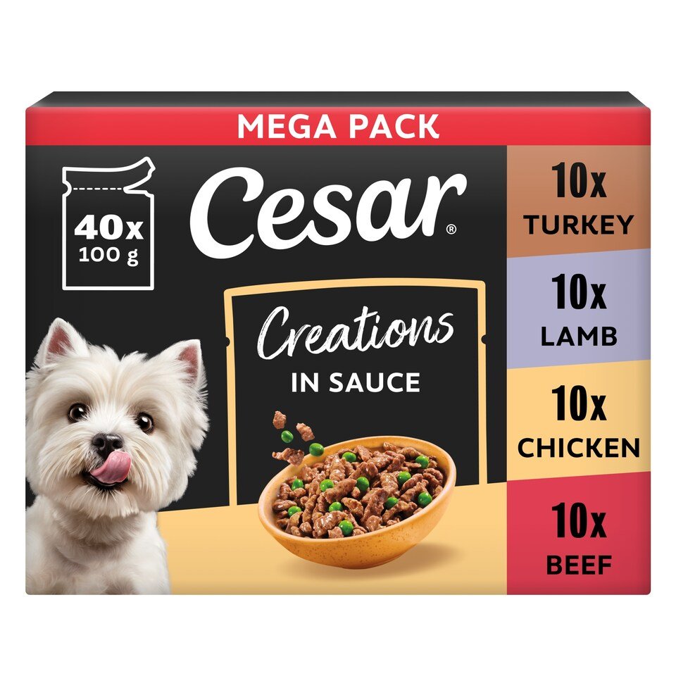 CESAR Dog Pouches Creations in Sauce 40x100g | UK Seller product pack