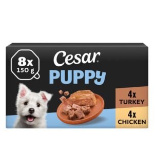CESAR Puppy Wet Dog Food Trays 8 x 150g | UK Seller product pack