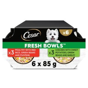 CESAR Wet Dog Food Fresh Bowls in Gravy 6 x 85g | UK Seller product pack