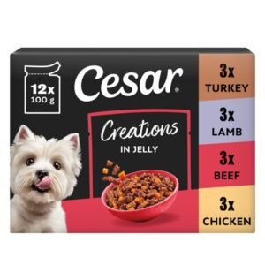 CESAR Dog Pouches Creations in Jelly 12x100g | UK Seller product pack